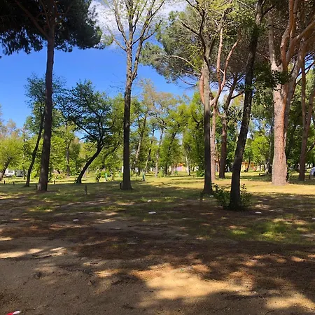 Camping Dolce Calvi (Corsica)