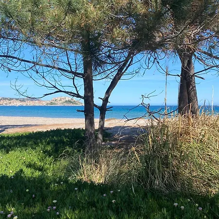 Dolce Calvi (Corsica)