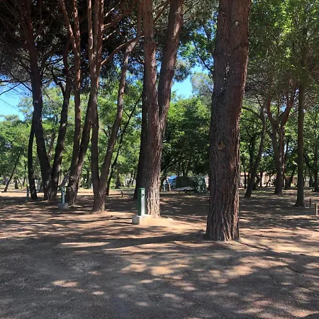Dolce Camping