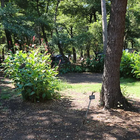 Campsite Dolce