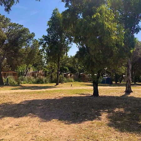 Dolce Campsite