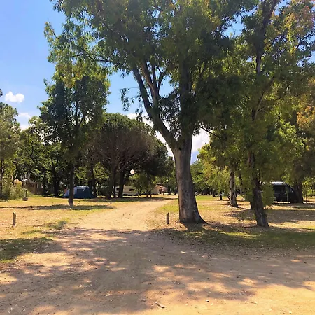 Dolce Calvi (Corsica)