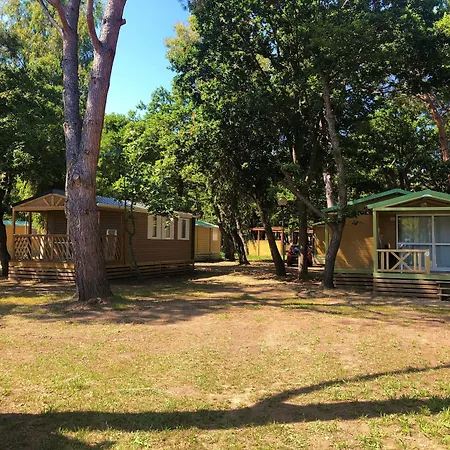 Dolce Campsite Calvi (Corsica)