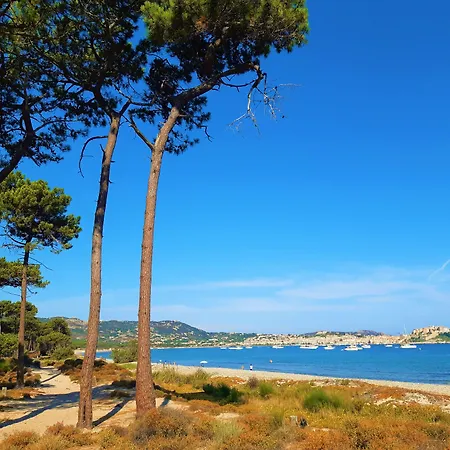 Dolce Campsite Calvi (Corsica)