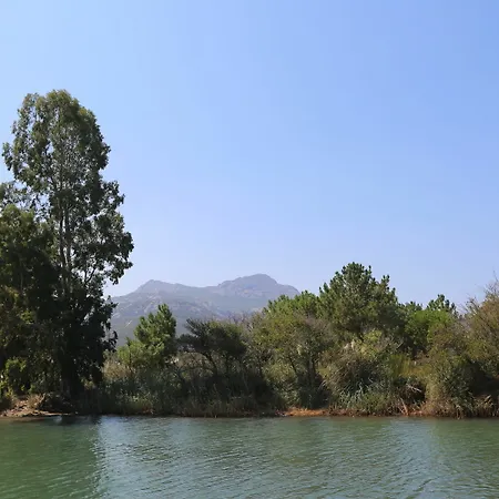 Dolce Calvi (Corsica)