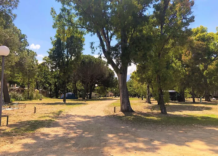 Dolce Calvi (Corsica)