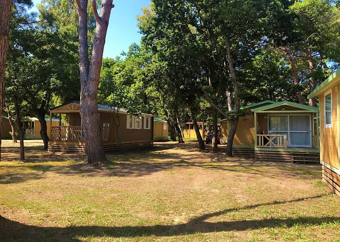 Dolce Kemp Calvi (Corsica)